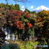 錦秋の滝