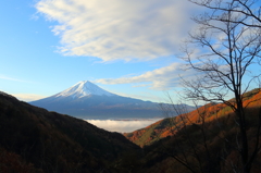 晩秋富士