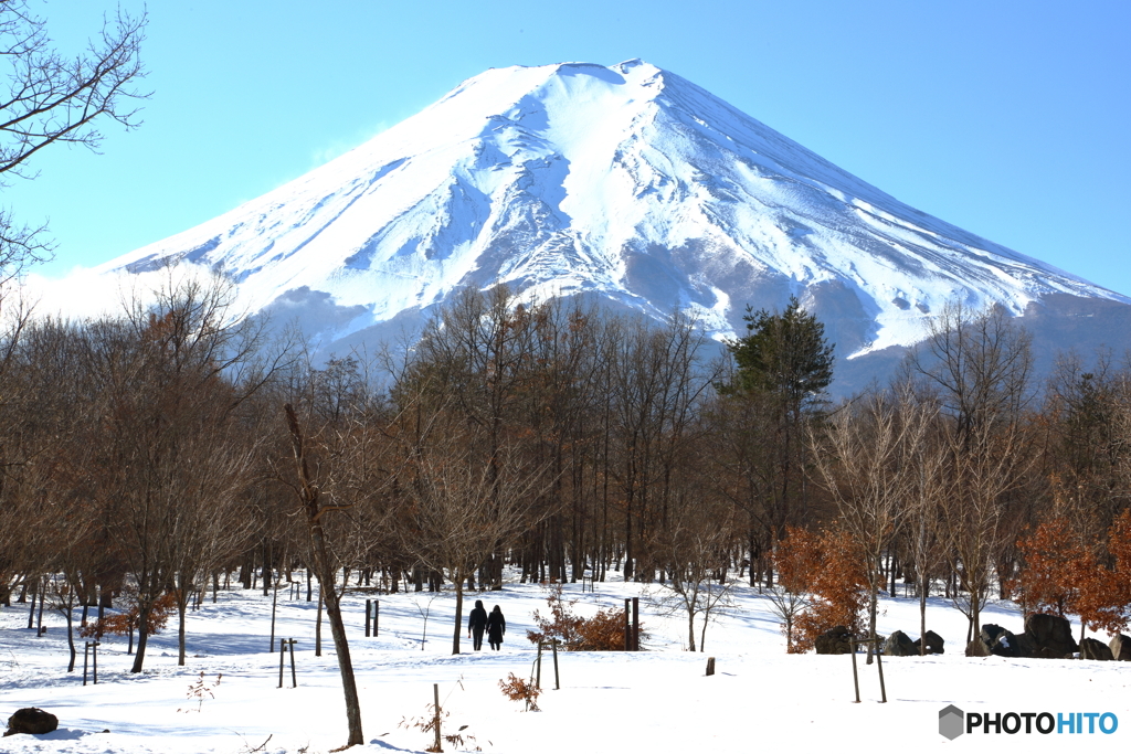 絶景を歩く