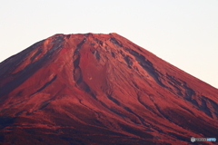 冬至の赤富士