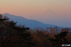 淡い色づき