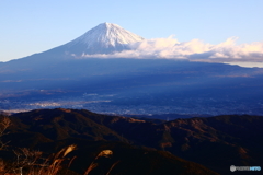 高台より望む