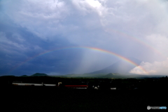 虹の架け橋