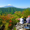 山頂の癒し