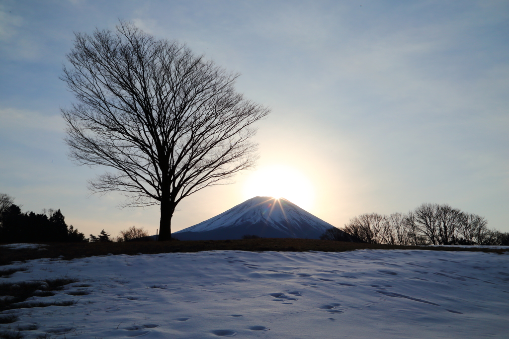 雪原ダイヤモンド