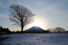 雪原ダイヤモンド