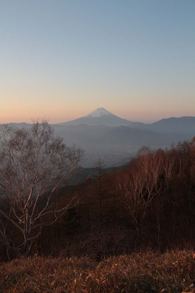 甘利山の朝１