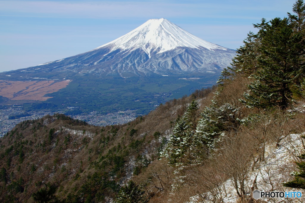 雪が落ちる前に