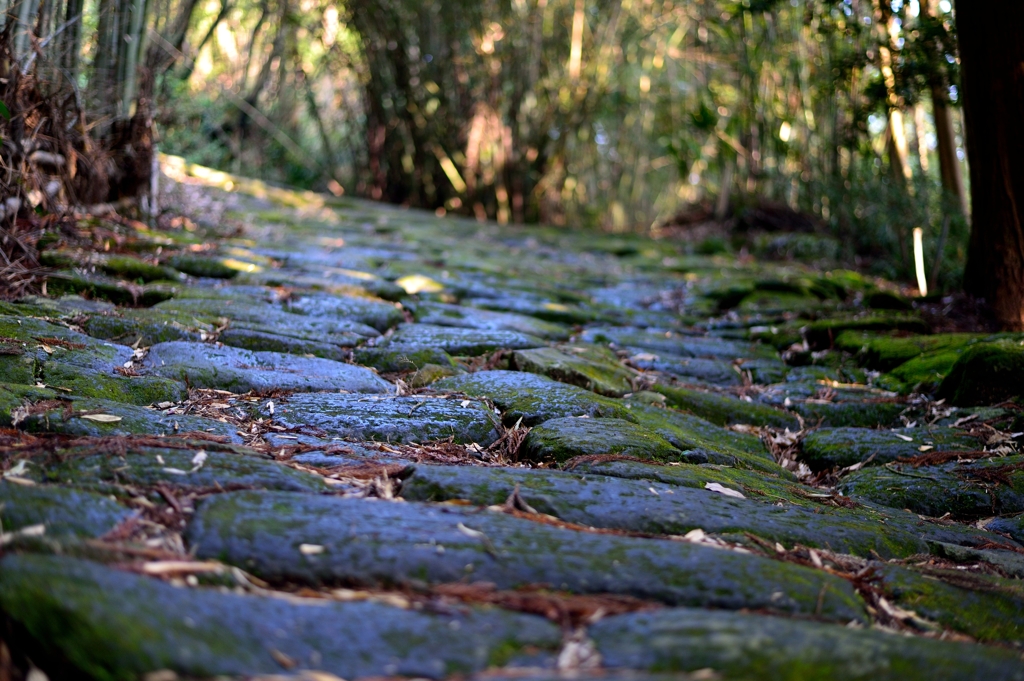 苔むす石畳の古道