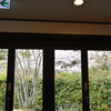 額の中の桜