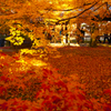 紅葉19