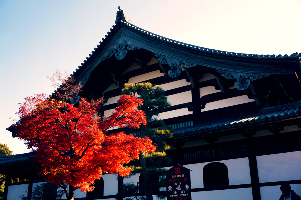 紅葉5