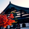 紅葉5