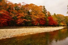 紅葉