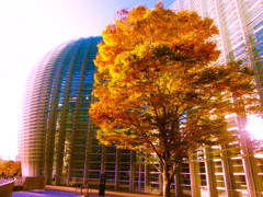 国立新美術館