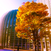 国立新美術館