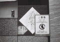 紋様