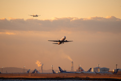 Her flight.