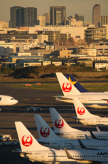 朝が始まる