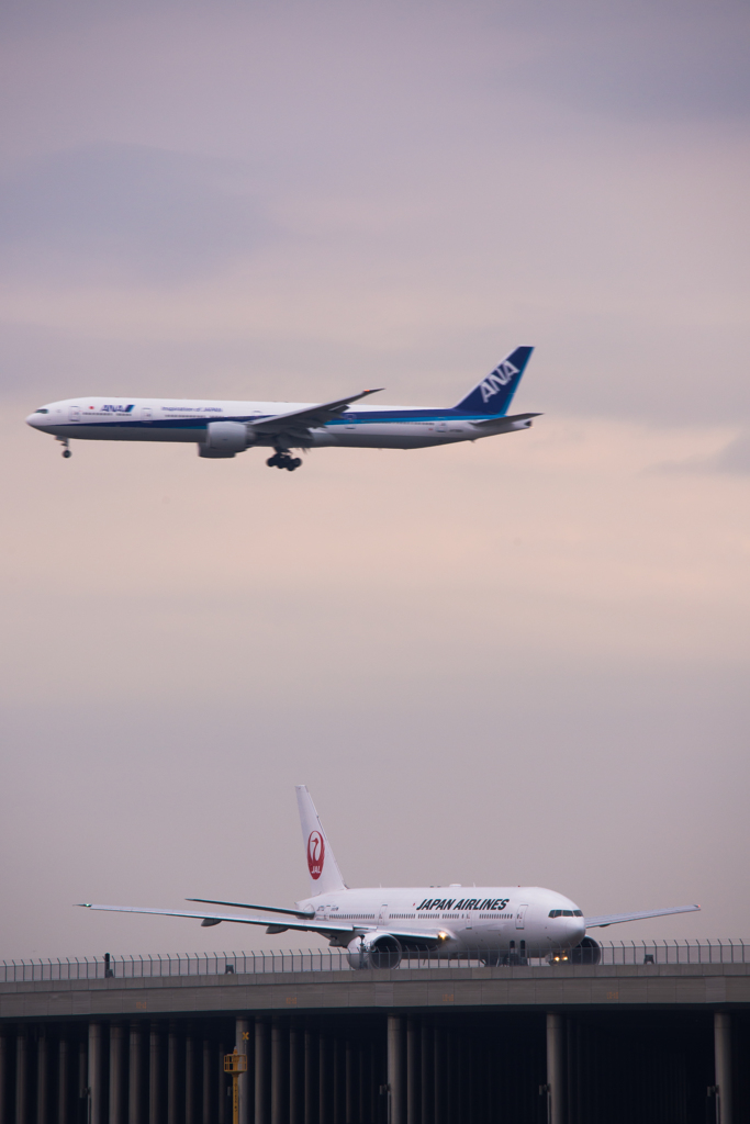 日本の空