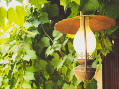 Old_Lamp