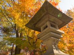 紅葉と灯篭