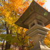 紅葉と灯篭