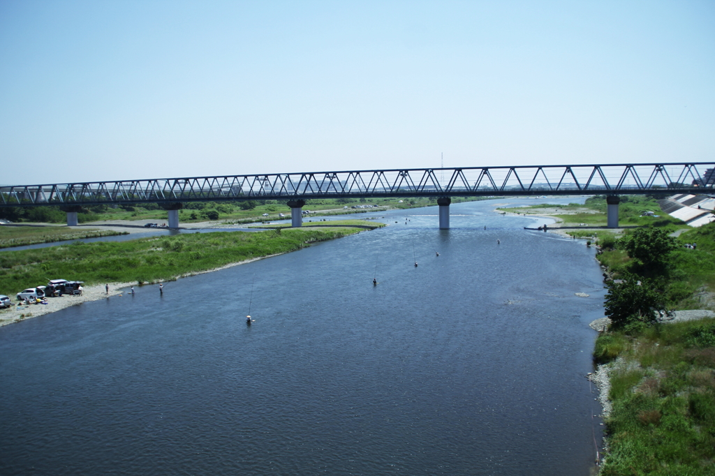 川辺の風景