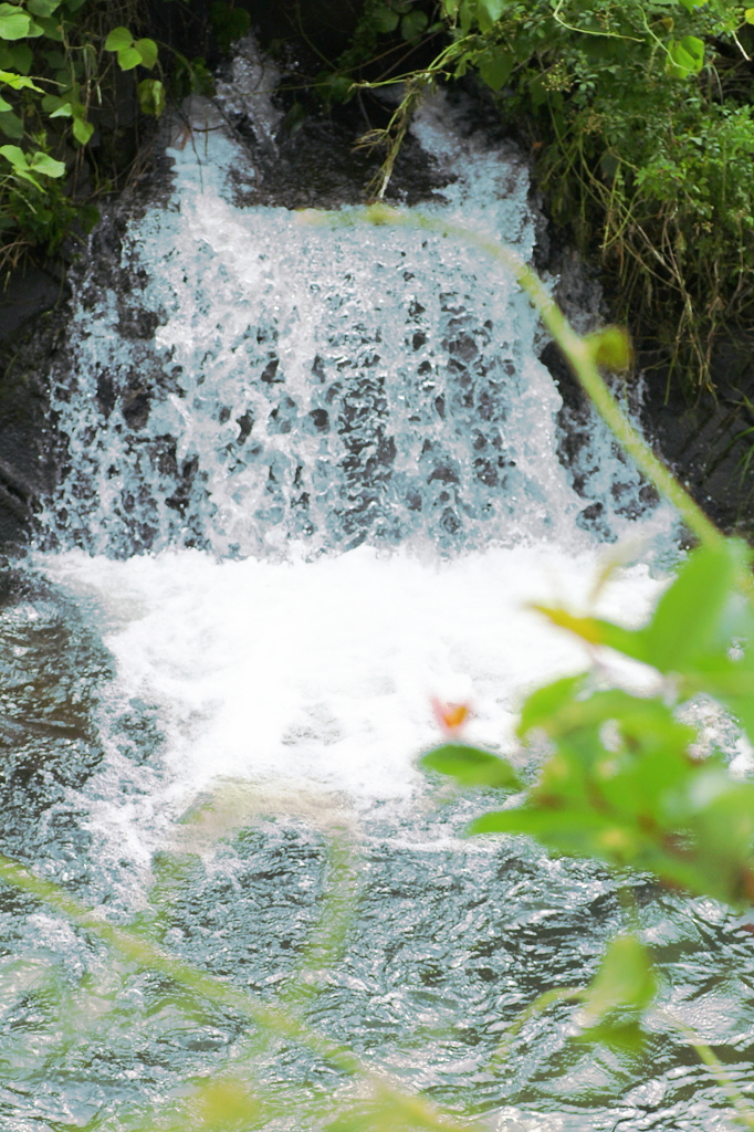 水辺の風景