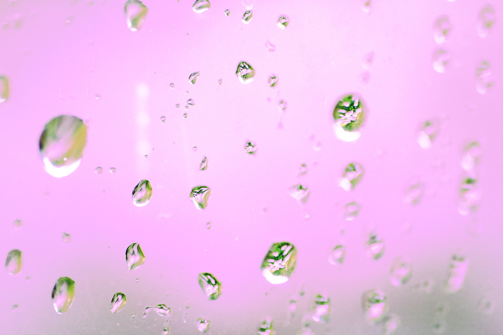 窓つたう雨