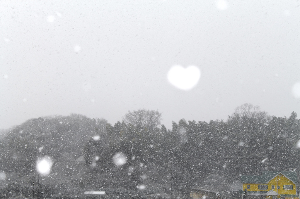 元旦に❤雪が降りました。