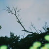 閉じ込められた空　～池