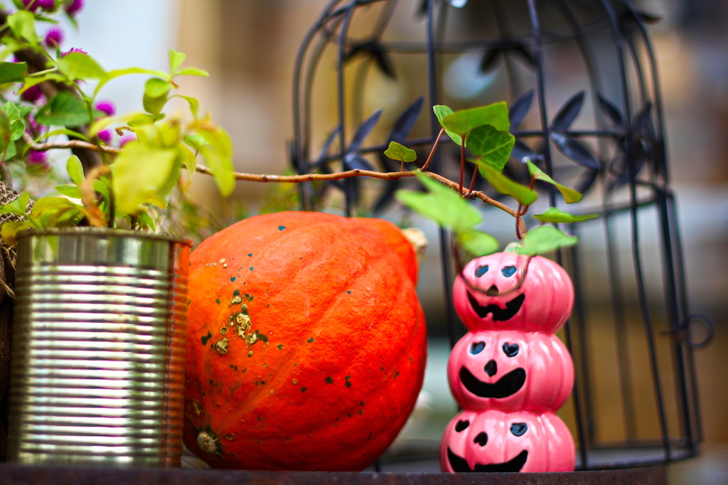Halloween decorations.