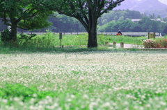 いつもありがとう