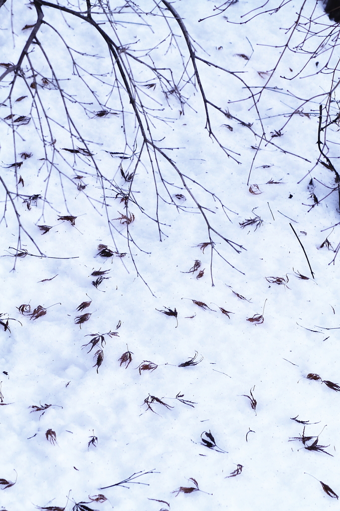 吹雪の後