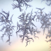 ice art