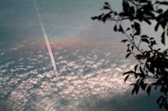 虹と飛行機雲