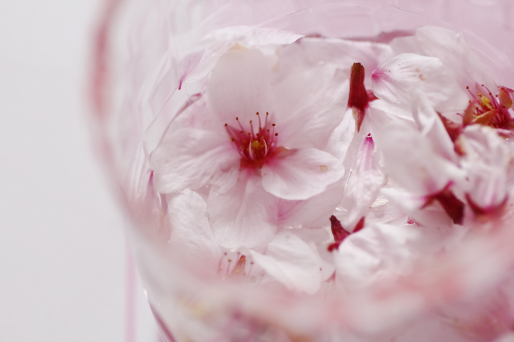 花筏のレシピ