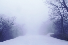 霧の雪山