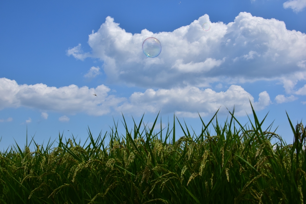 夏空