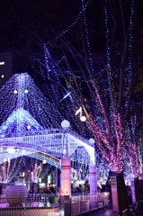 イルミネーション