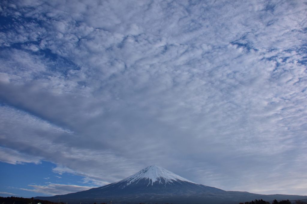 いつもの場所から