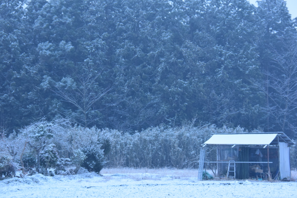 シックに雪化粧