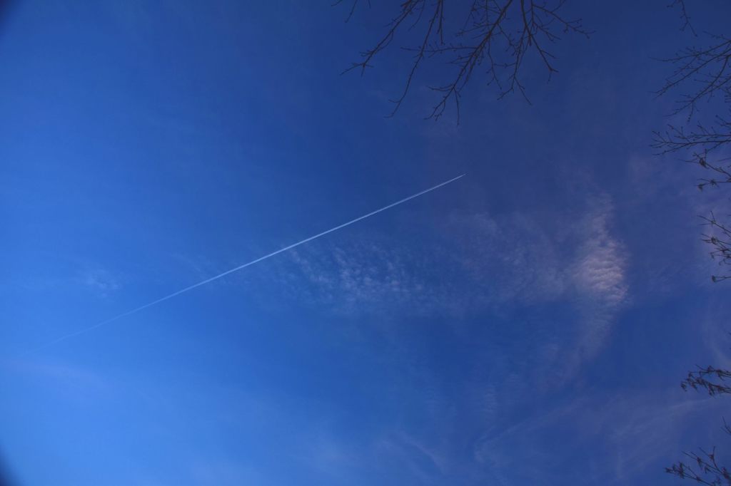 今日の飛行機雲