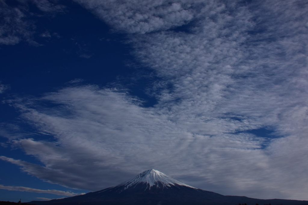 空高く