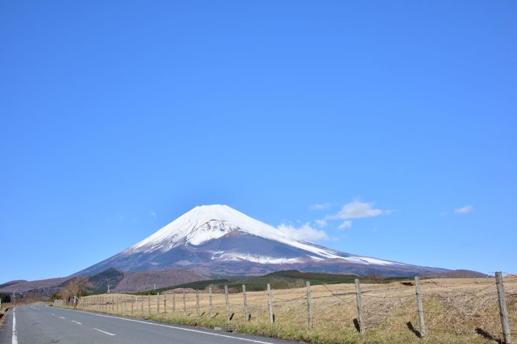 やっぱり素晴らしい