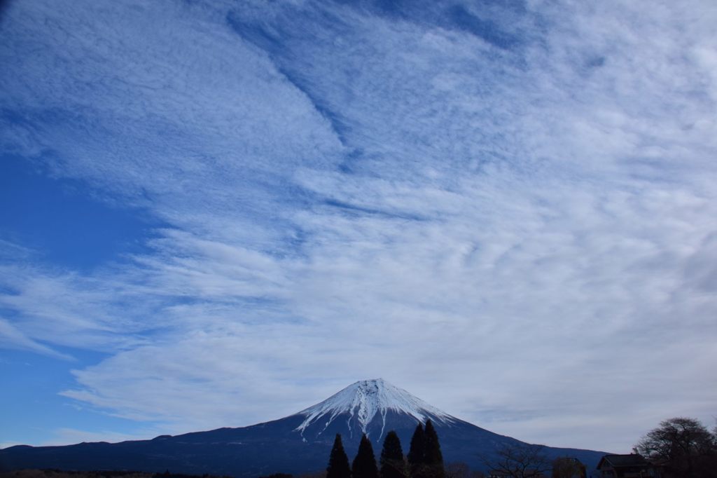 田貫湖から