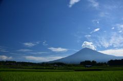 稲穂と富士山