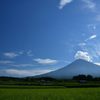 稲穂と富士山