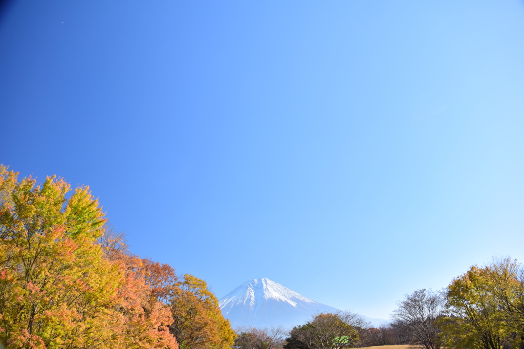 ありがとう